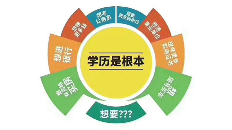 洛阳学历提升(洛阳学历提升机构有哪些)