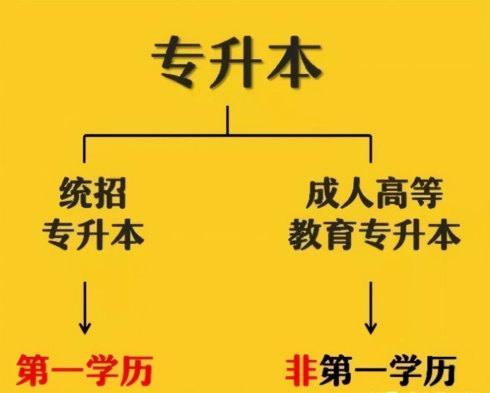 南阳学历提升(南阳学历提升机构排名)