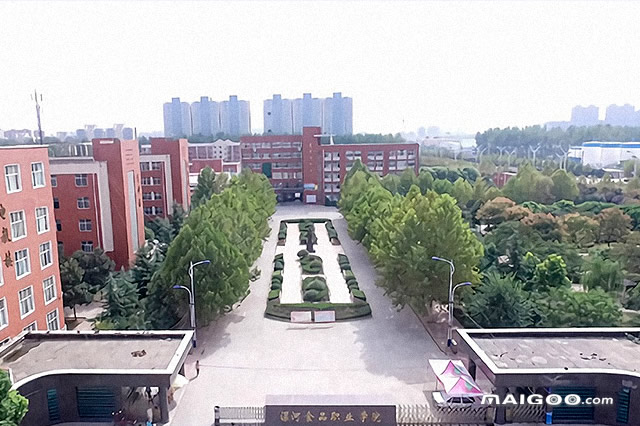 漯河函授大学(漯河函授大专报名)