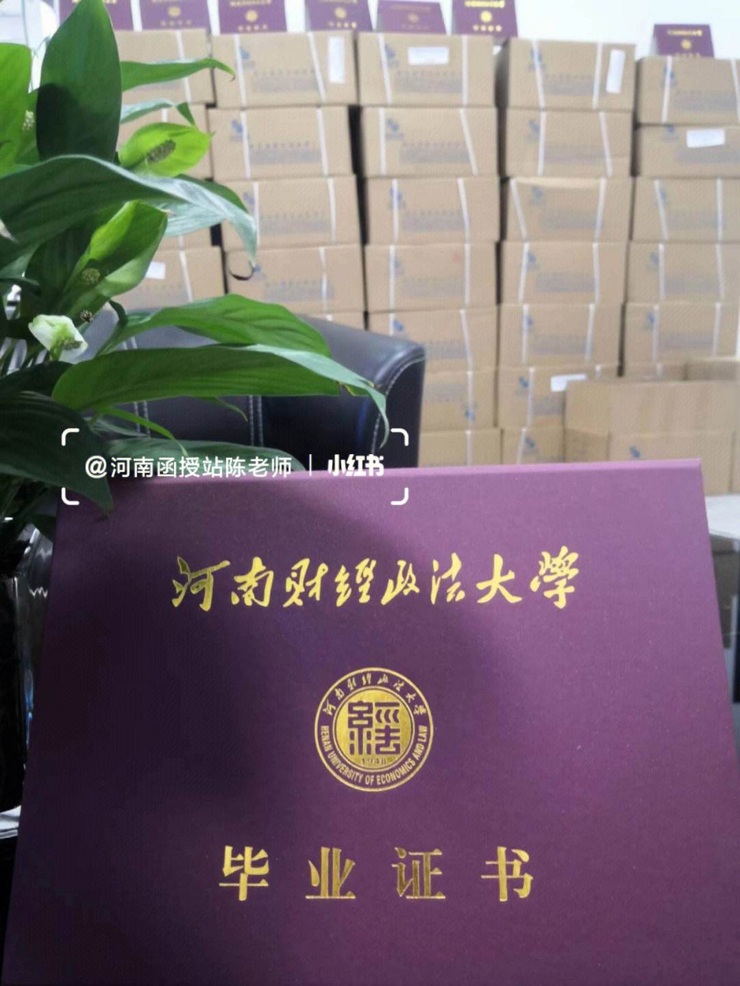 河南函授大学(河南函授大学有哪些学校)